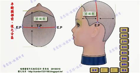 頭部七條基準線中的側中線，其中心點為